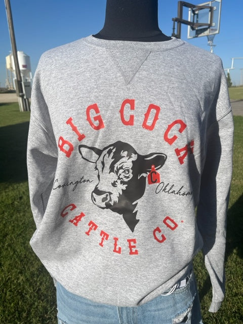 Grey Sweatshirt with Round BCCC Steer Logo