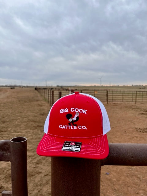 Red Snapback Embroidered Cap